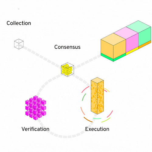 Flow node types: collection, consensus, execution and verification